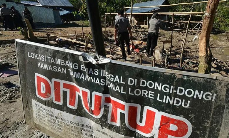 Tambang Emas Ilegal Di Sulteng Kembali Marak Indoposco