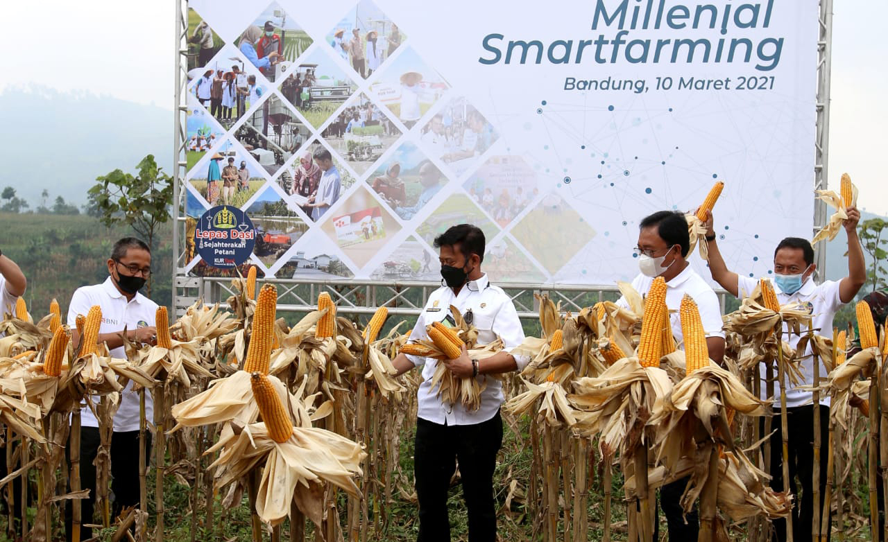 Millenial Smartfarming Upaya BNI Kawal Pertanian Masa Depan Indoposco