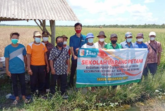 IPDMIP melaksanakan kegiatan-kegiatan yang memberikan dampak output dan outcome signifikan di antaranya melalui Sekolah Lapang. Foto: BPPSDMP
