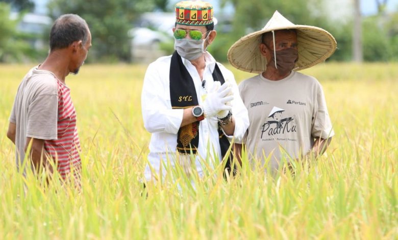 Mentan Syahrul Yasin Limpo (tengah) bersama petani memantau areal persawahan untuk memastikan produktivitas hasil panen. Foto: Kementan