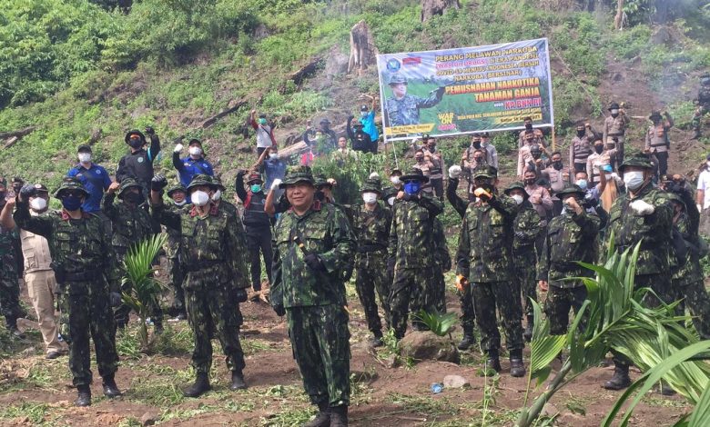 Kepala BNN RI Komjen Pol Petrus R. Golose bersama jajaran BNN RI mengenakan seragam loreng baru dalam Operasi Pemusnahan Ladang Ganja di kaki Gunung Seulawah Agam, Aceh Besar, Aceh pada Rabu (16/6/2021). Foto : indoposco.id/aro