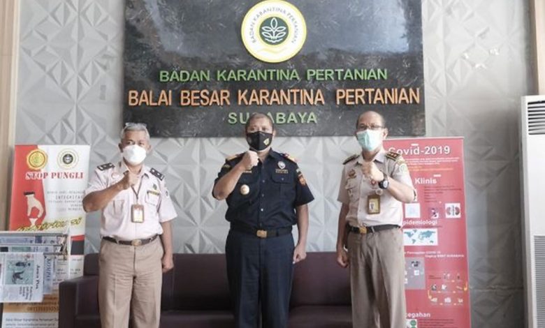 indoposco Bea Cukai Perkuat Sinergi dengan Berbagai Instansi