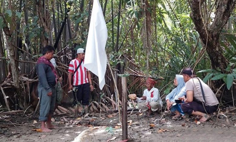 buaya