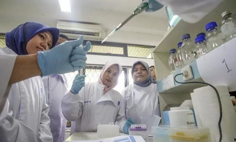 sumpah pemuda