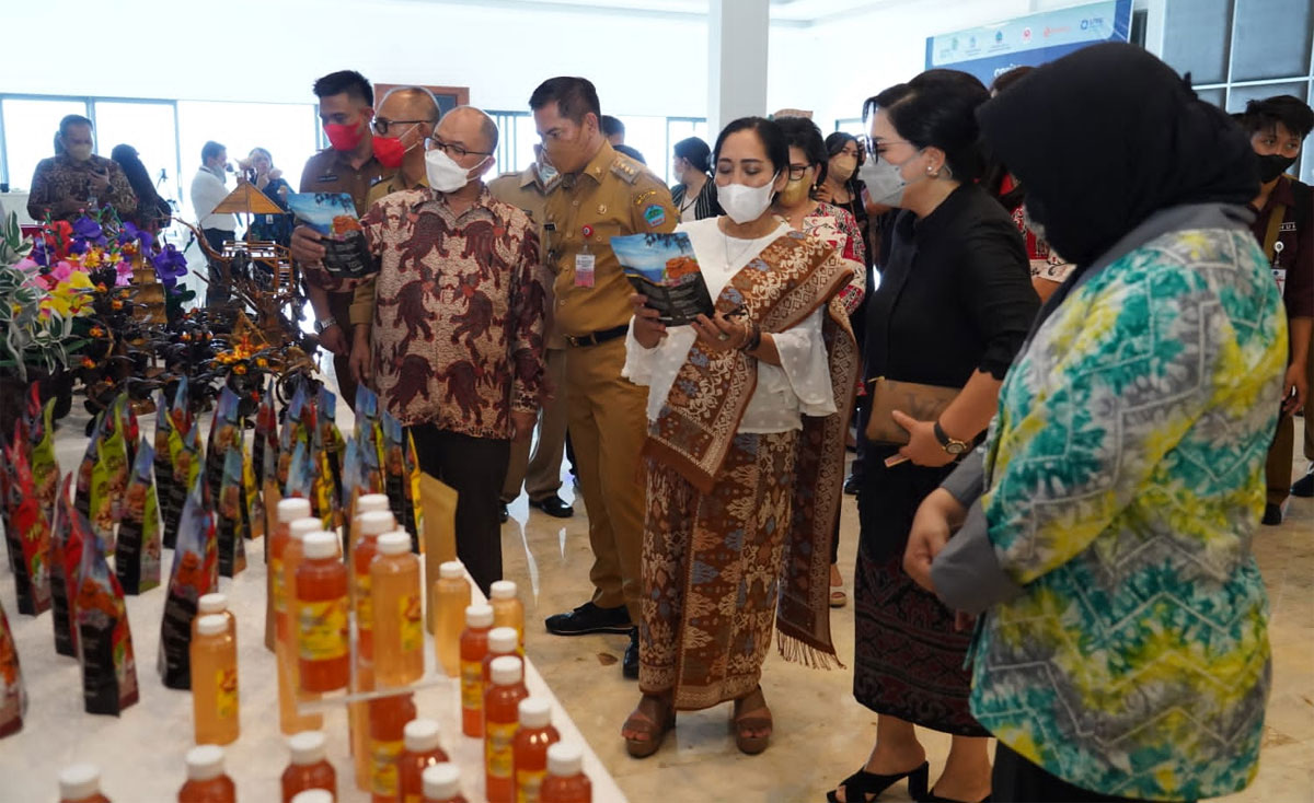 Sinergi Kemenkopukm Dekranas Kembangkan Ekosistem Umkm Berbasis