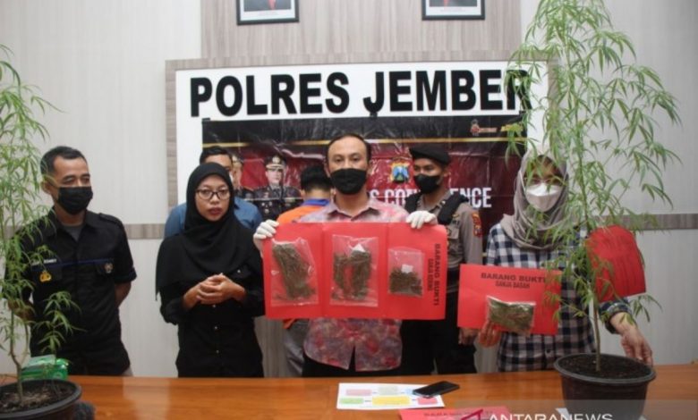 ganj polres jember menangkap
