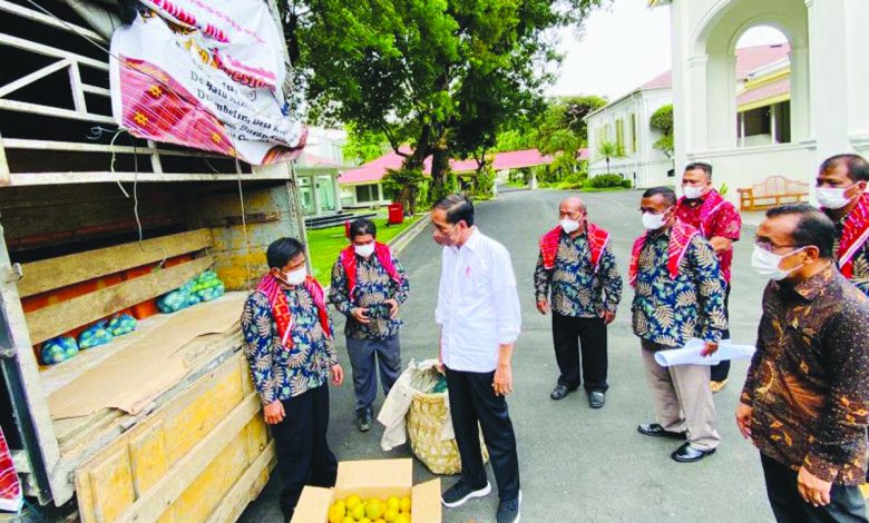 jokowi jeruk