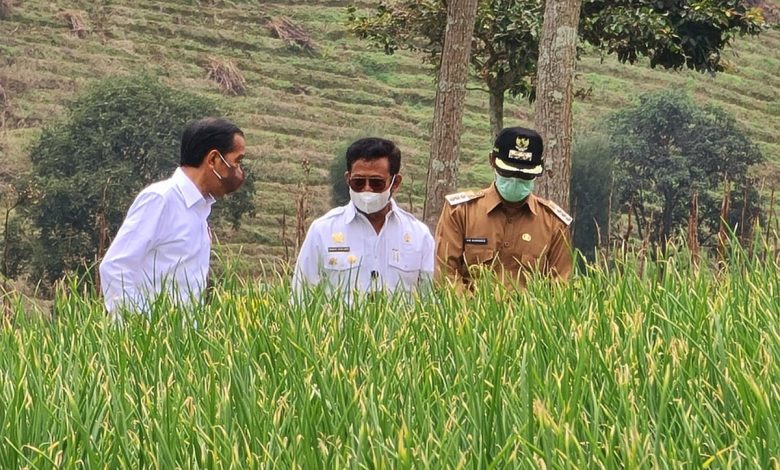 food estate