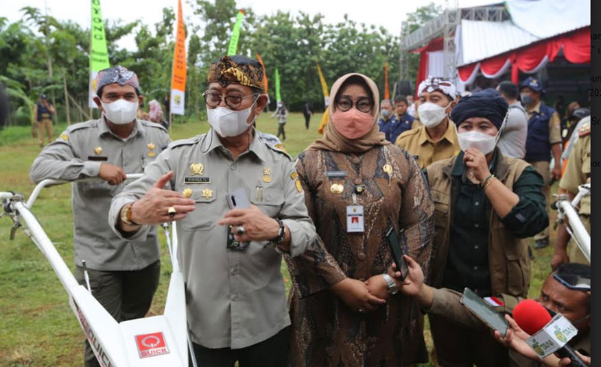 Panen Kacang Tanah Di Sargen Mentan SYL Gerakkan Hilirisasi Hingga