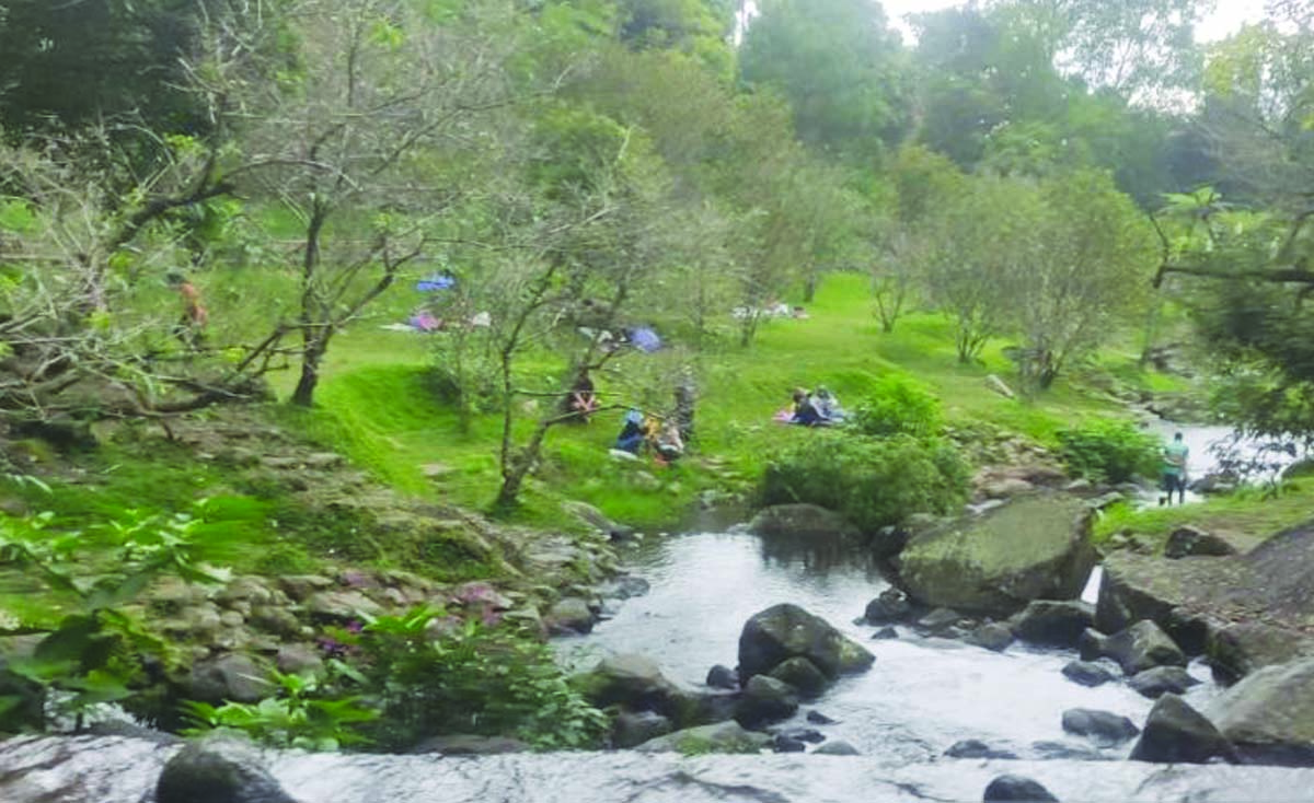 Kebun Raya Cibodas Banyak Diserbu Wisatawan Lokal Indoposco