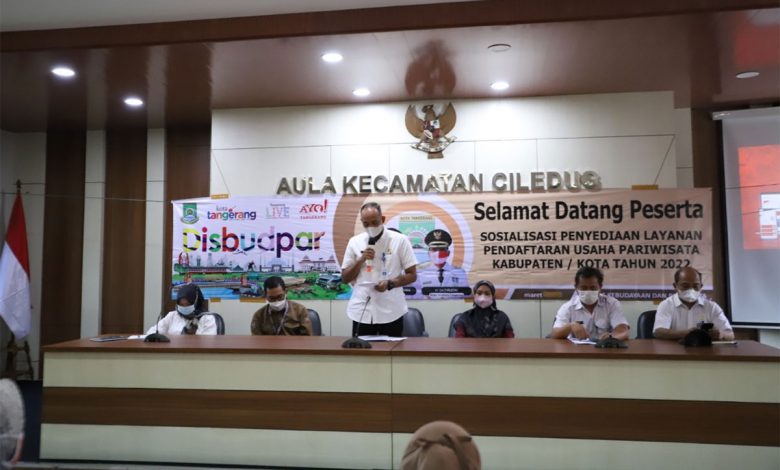 disbudpar