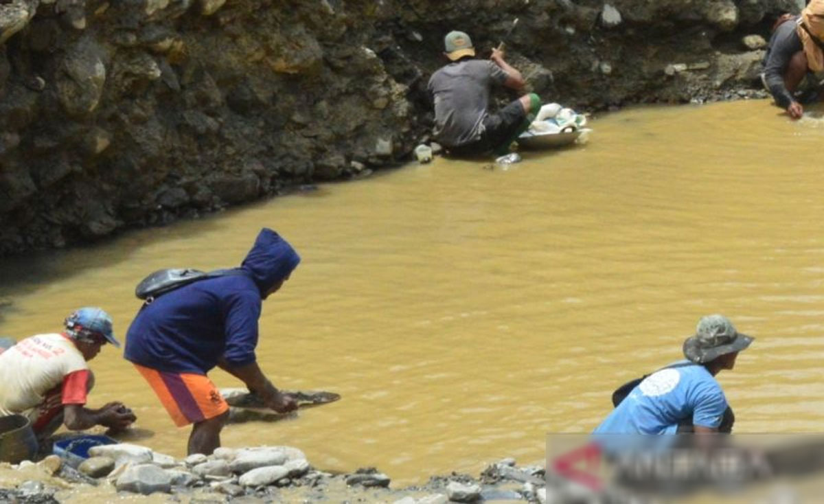 Tim SAR Manokwaria Evakuasi Pekerja Tambang Emas Ilegal Dan Korban