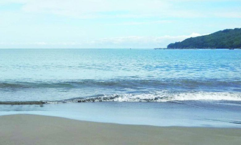 ilustrasi laut