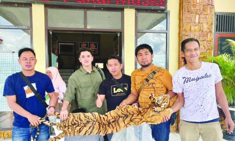 kerinci