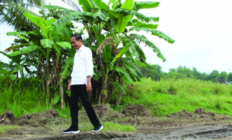 lampung