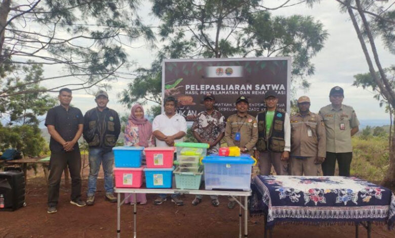 Pelepasliaran-Satwa