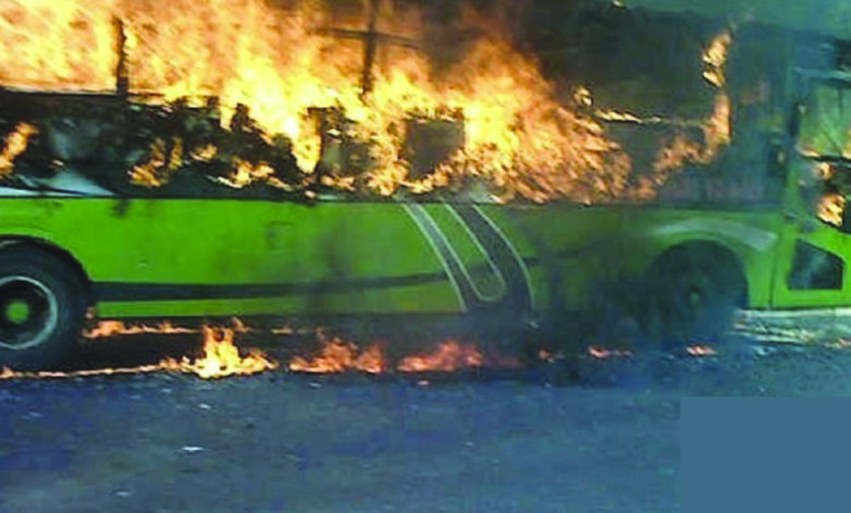 bus