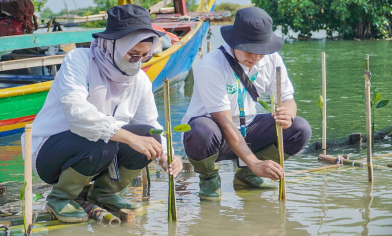 Jaga Kelestarian Lingkungan Dan Cegah Abrasi PLN NP Tanam 100 Ribu