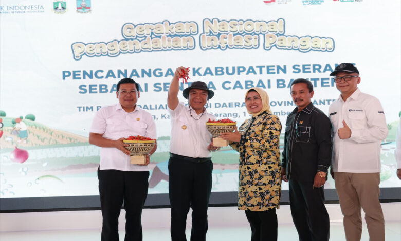Gerakan-Inflasi-Pangan-co