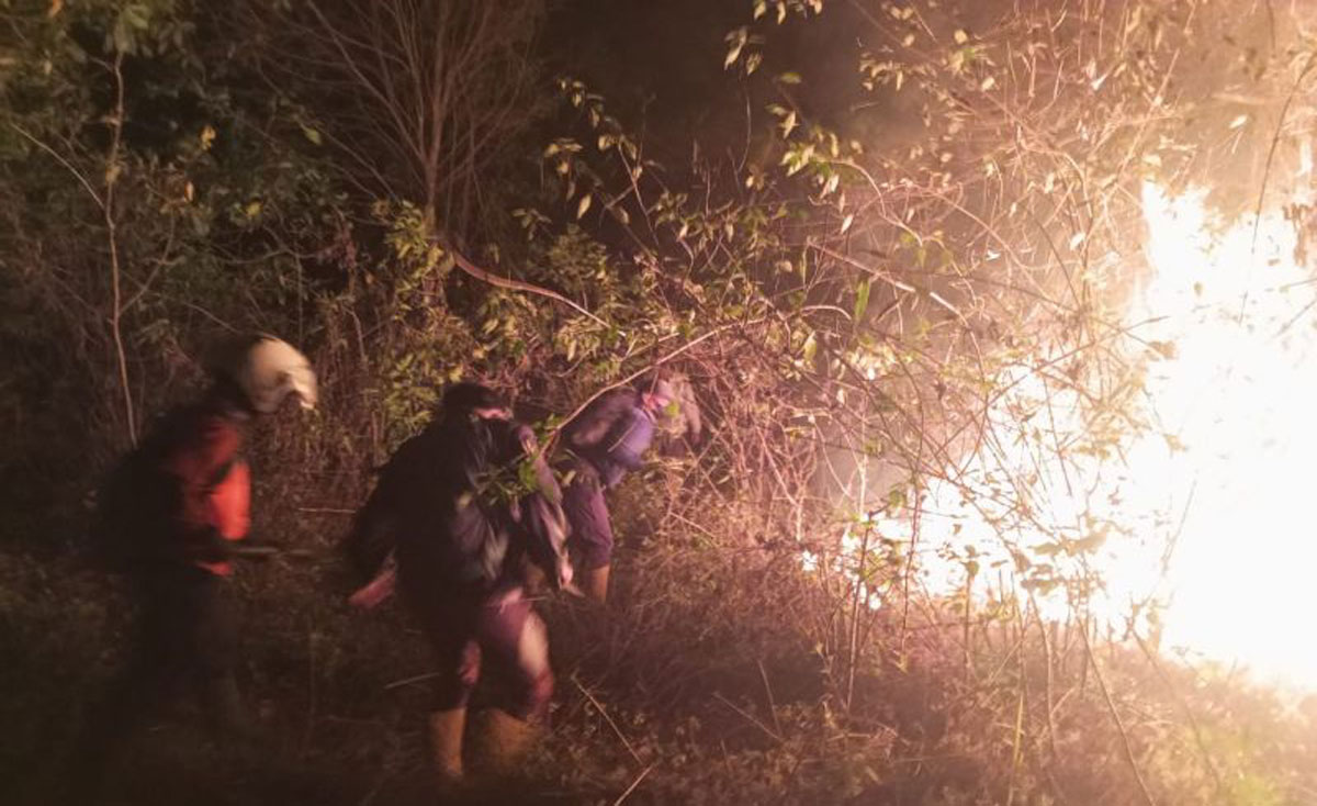 Bnpb Jinakkan Api Yang Bakar Hektar Lahan Di Gunung Merbabu Indoposco