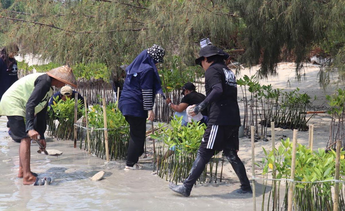 Dukung Upaya Pemerintah Bebas Emisi Karbon BRI Kembali Tanam Bibit