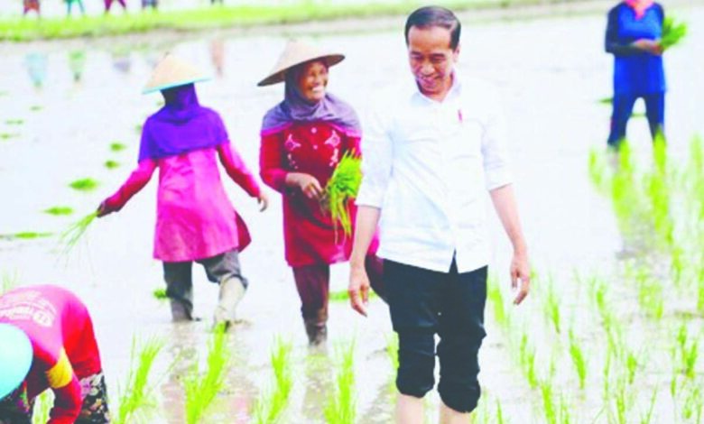 jokoco