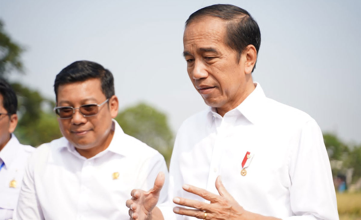 Jokowi Panen Padi Di Sukamandi Senang Hasil Melimpah Indoposco