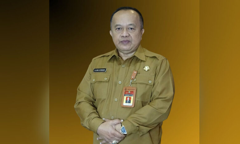 Deni-Hermawan-co