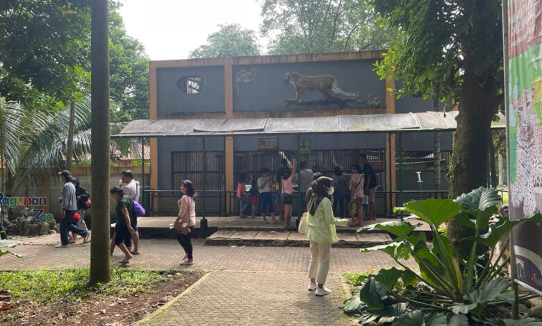 KB-Ragunan-co