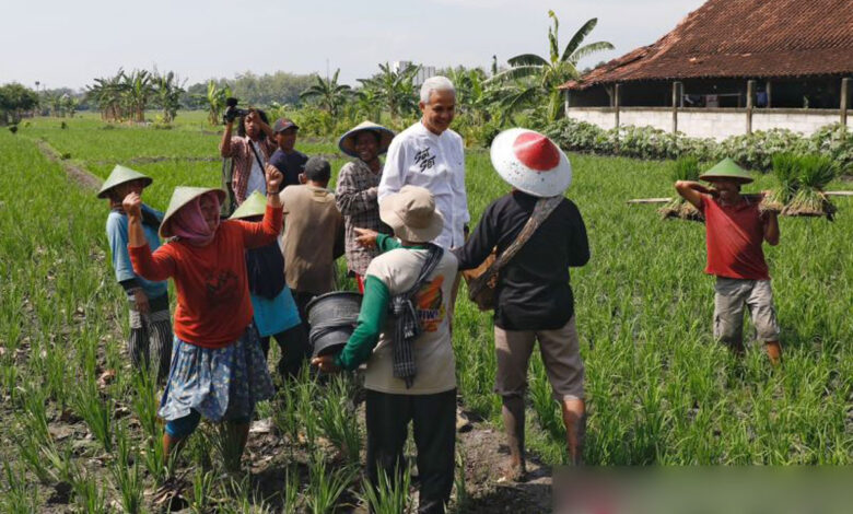 Diskusi-Petani