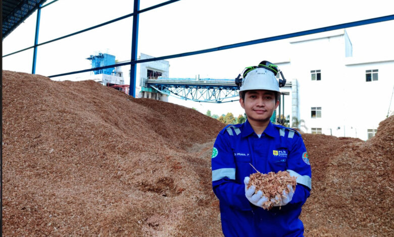 Karyawan-PLN-NP-2-co