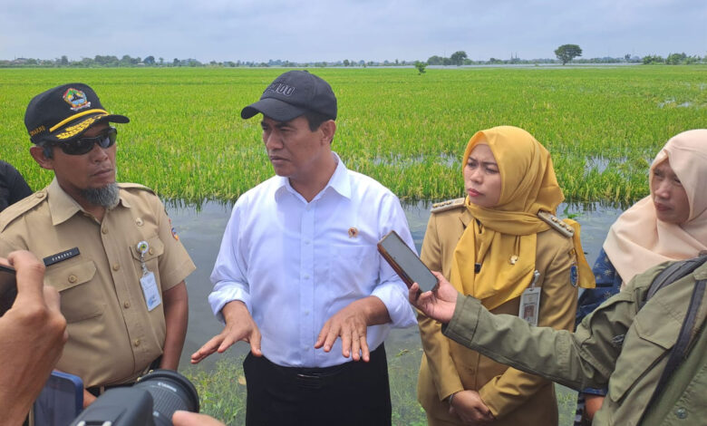 Mentan-Demak-co