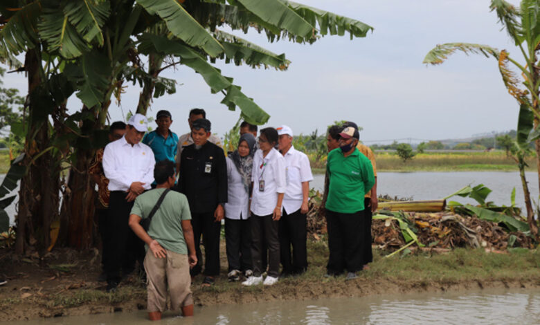 Kabupaten-Grobogan-co
