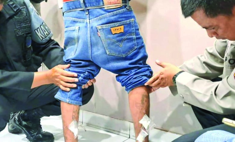 lapas