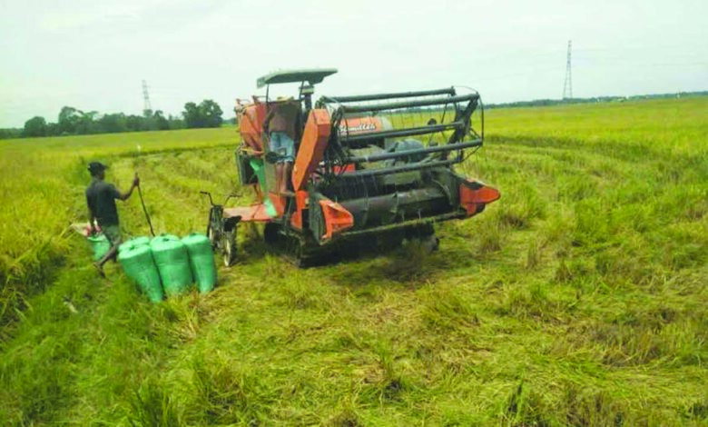 mesin padi
