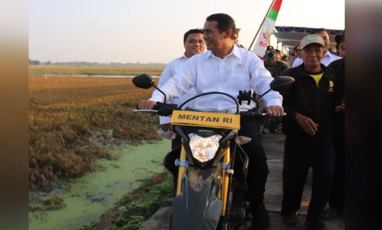 pompanisasi-co