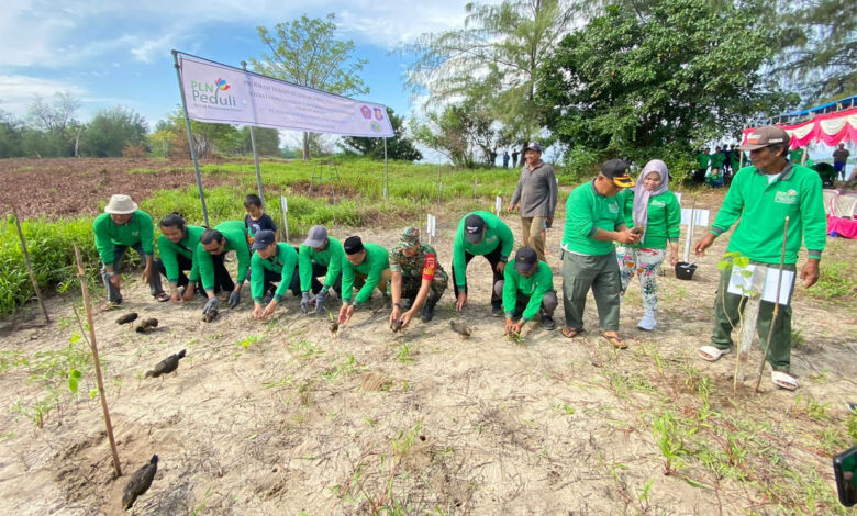 UP-Minahasa