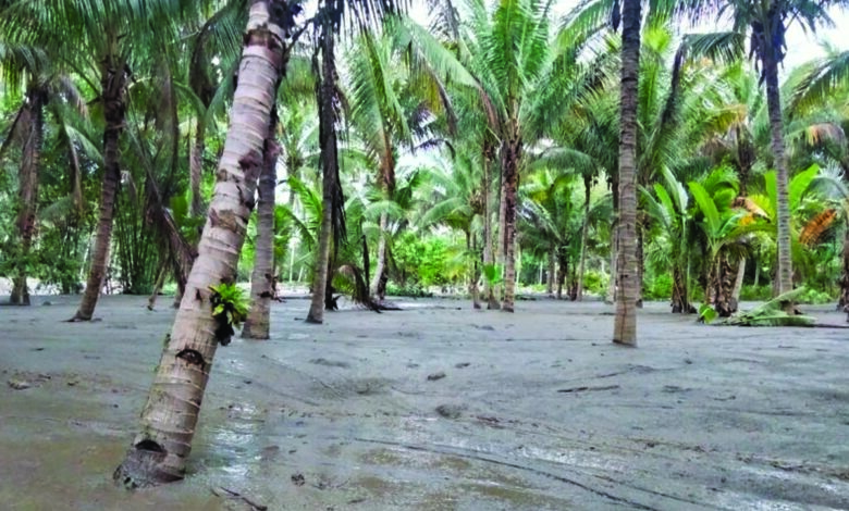 banjir