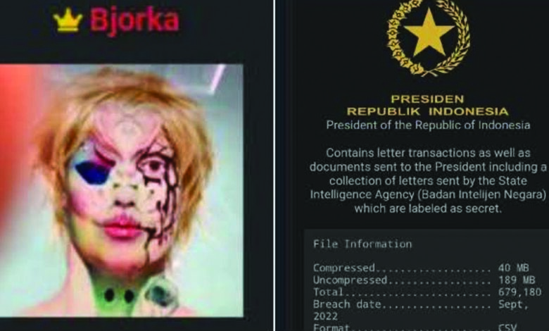 bjorka