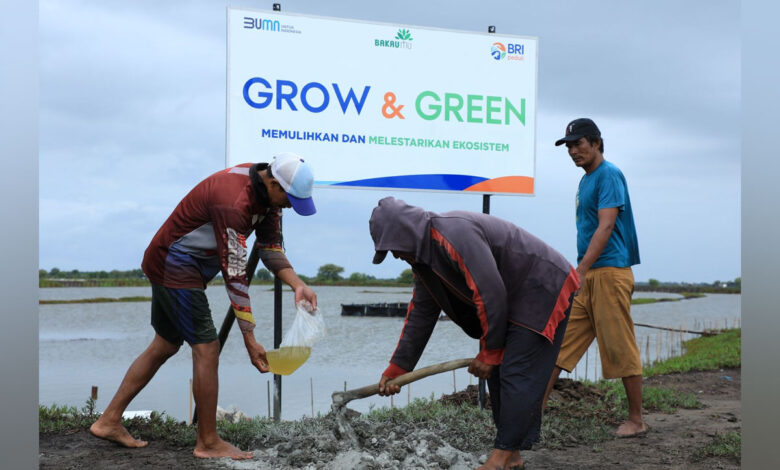 Grow-&-Green