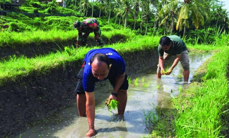 gianyar
