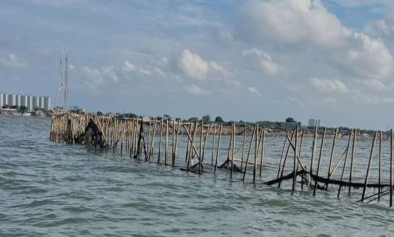 laut