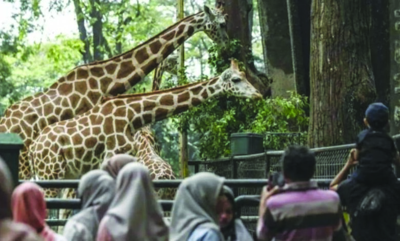 ragunan