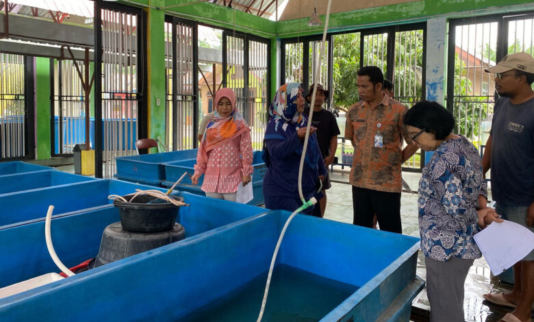 Benih-Ikan