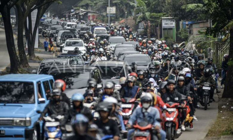 Pemudik