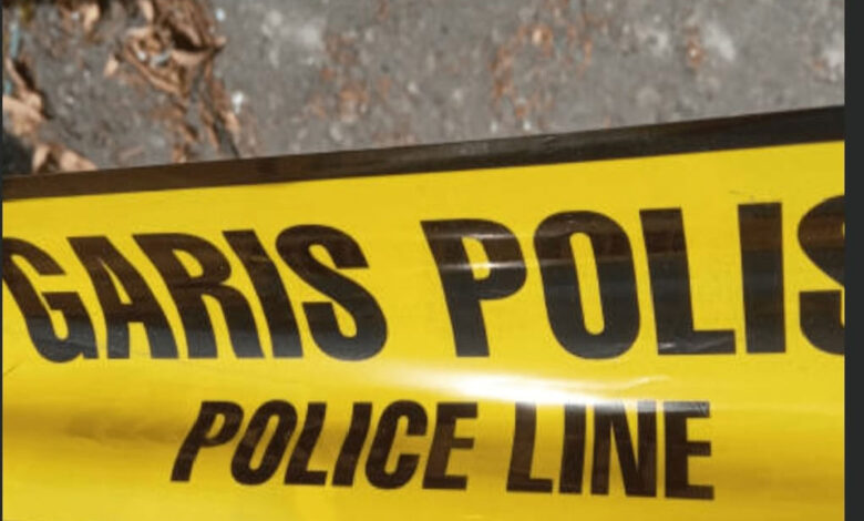 Garis-Polisi