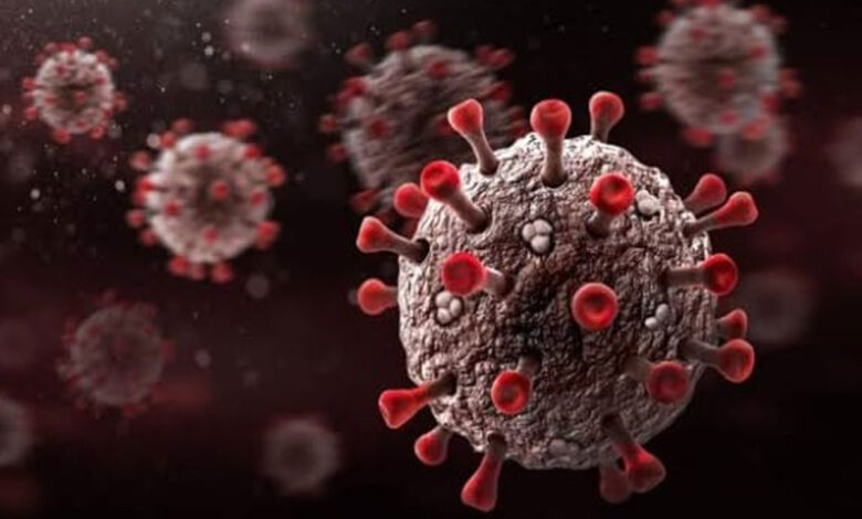 Virus