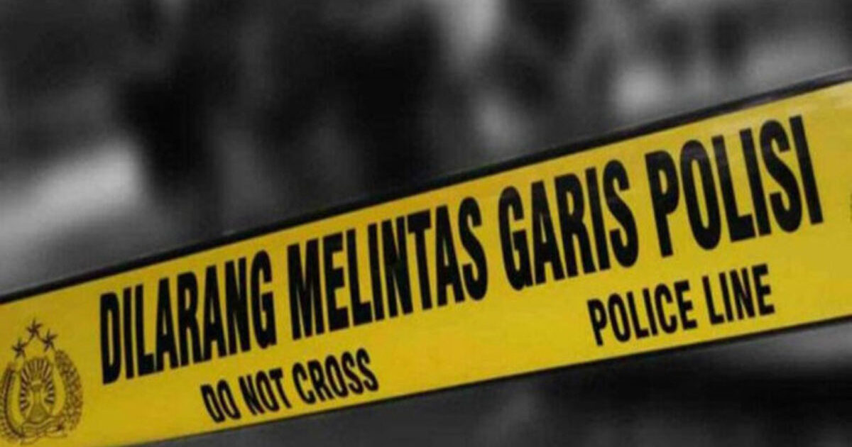 Garis-Polisi