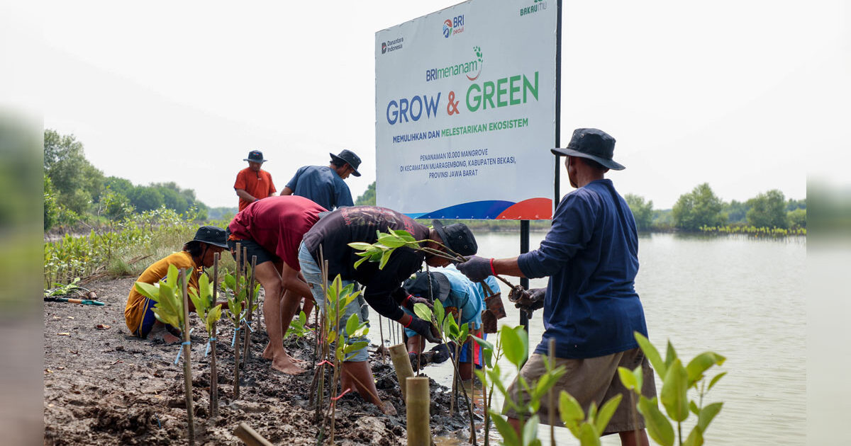 Grow-&-Green