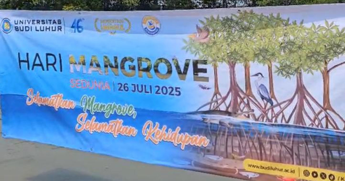Hari-mangrove